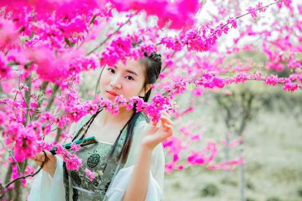 武汉之旅,从一场蒸桑开始吧! 武汉之旅,从一场蒸桑开始吧!